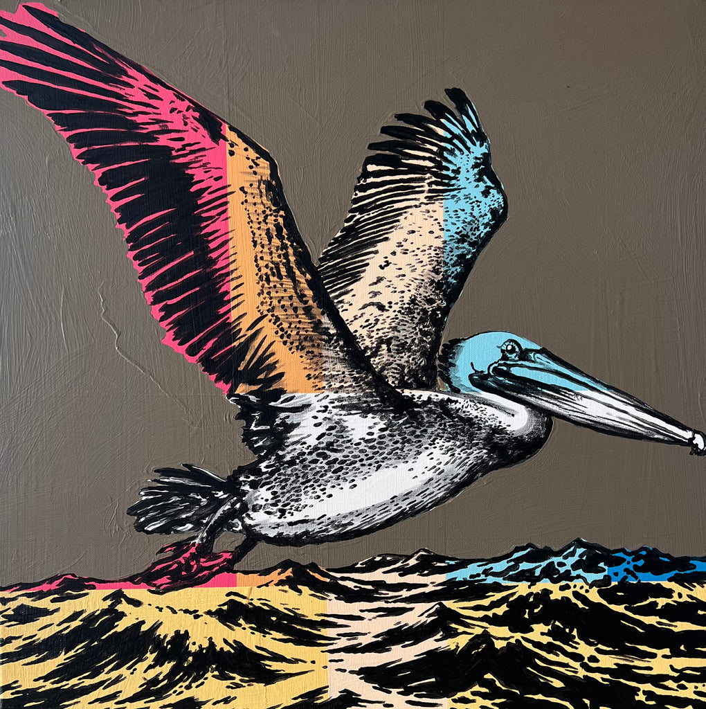Brown Pelican- Original