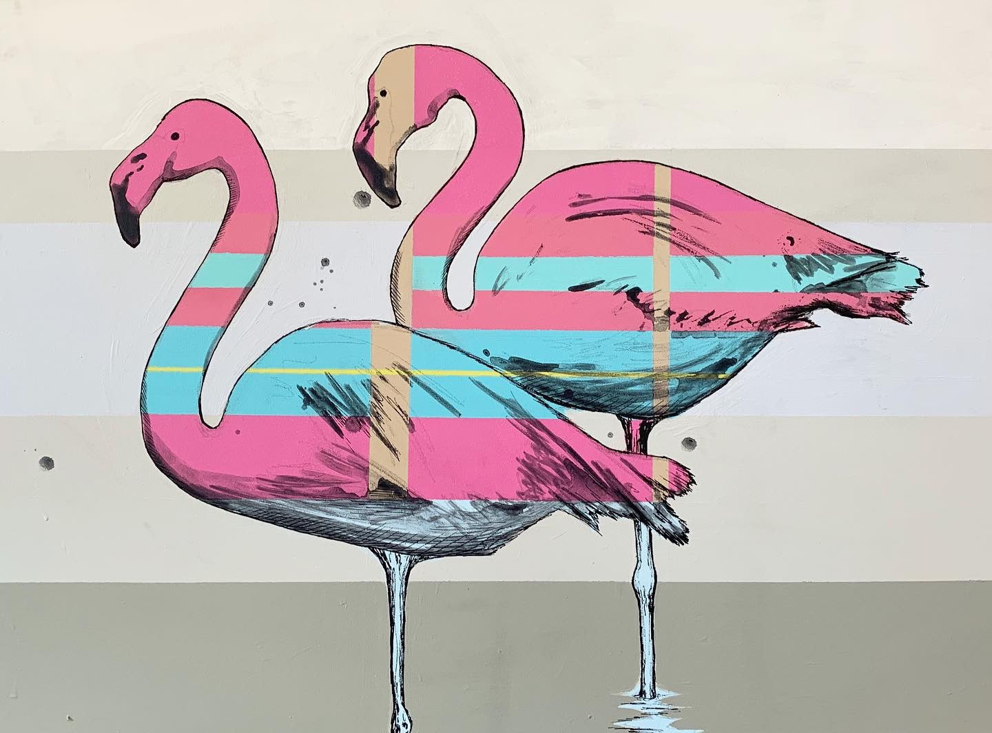 Frankies Flamingos 1